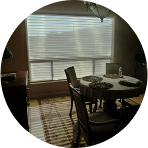 residential-window-shades Shear shadings give daytime privacy when open