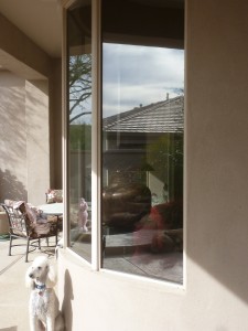 Home Tinting AZ