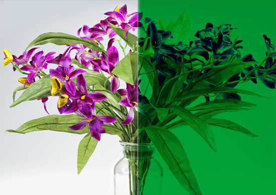 GREEN-SR-HPR Green