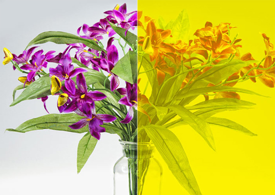 YELLOW-SR-HPR Yellow